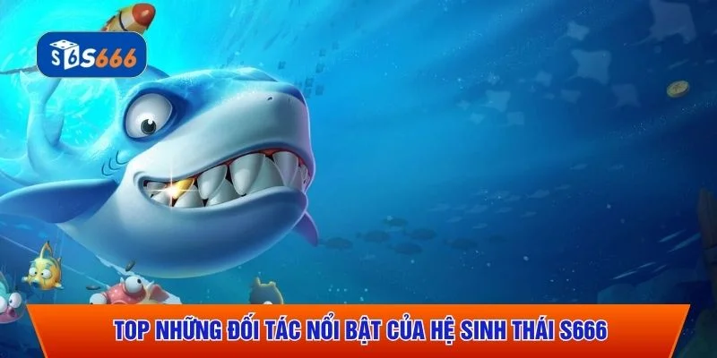 Top những đối tác nổi bật của hệ sinh thái S666