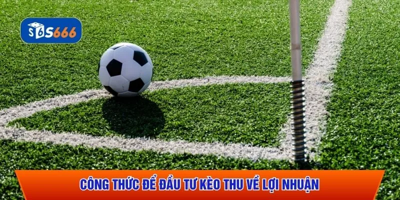 Công thức để đầu tư kèo thu về lợi nhuận