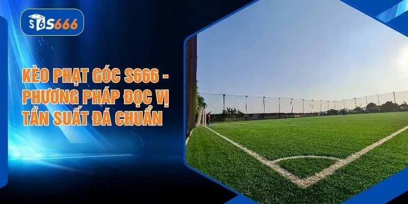 Kèo Phạt Góc S666 - Phương Pháp Đọc Vị Tần Suất Đá Chuẩn