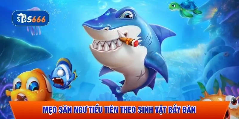 Mẹo săn ngư tiểu tiên theo sinh vật bầy đàn
